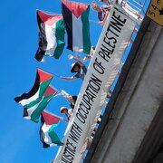 Photos: New Plymouth Council Pressed to Follow Other New Zealand Cities on Palestine Solidarity