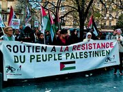 Photos: 110th Rally Shows Solidarity with Palestine in Bordeaux, France
