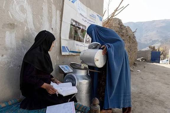 افزایش مشکلات زنان خودسرپرست افغانستان