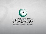OIC commemorates International Day of Solidarity with Palestinian people