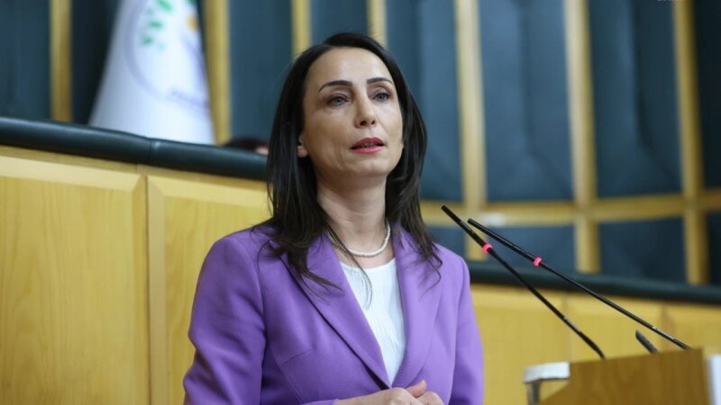 Hevseroka DEM Partiyê: Em celadan gelekî baş nas dikin