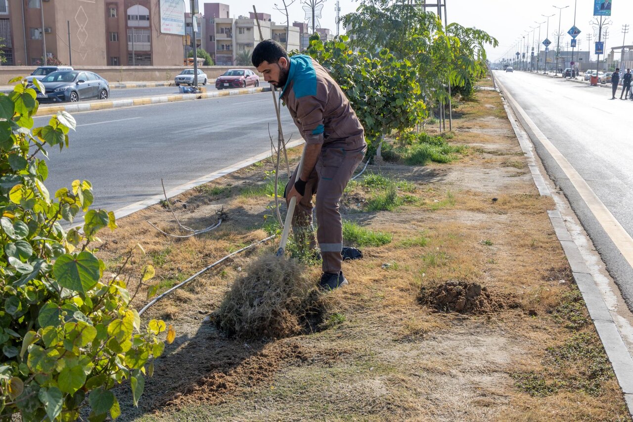 Al-Kafeel Nurseries Group implements a campaign to plant +700 trees in Al-Hur District of Karbala (+Photos)