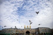 Photos: A sky in supplication, birds chanting love and peace above shrines of Imam Hussain & Al-Abbas
