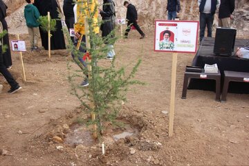 فيديو | لبنان.. بلدية الخيام تُقيم حديقة الشهداء، وتزرع شجرة لكل شهيدٍ