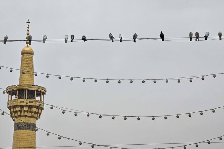 Photos: Rainfall at Imam Reza holy shrine