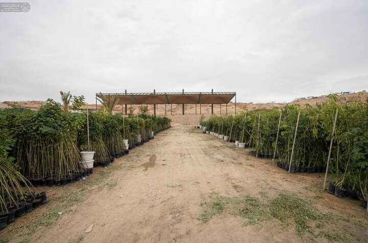 تقرير مصور/ إطلاق مشروع زراعة 15 ألف نبتة لتعزيز البيئة في مدينة النجف الأشرف