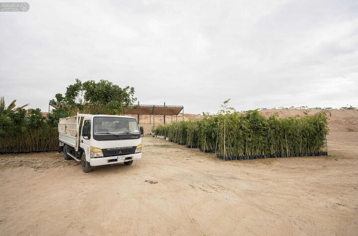 تقرير مصور/ إطلاق مشروع زراعة 15 ألف نبتة لتعزيز البيئة في مدينة النجف الأشرف