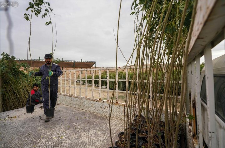 تقرير مصور/ إطلاق مشروع زراعة 15 ألف نبتة لتعزيز البيئة في مدينة النجف الأشرف