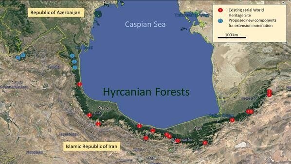 Əsrarəngiz Kaspi Hirkan Qarışıq Meşələrinin mərkəzində Neandertalların ayaq izləri aşkar edilib