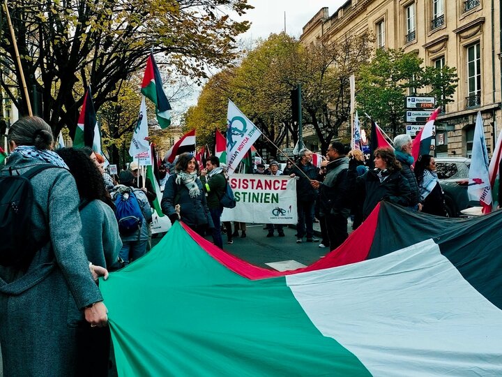 新闻图片 | 法国波尔多集会：声援受压迫的巴勒斯坦人民