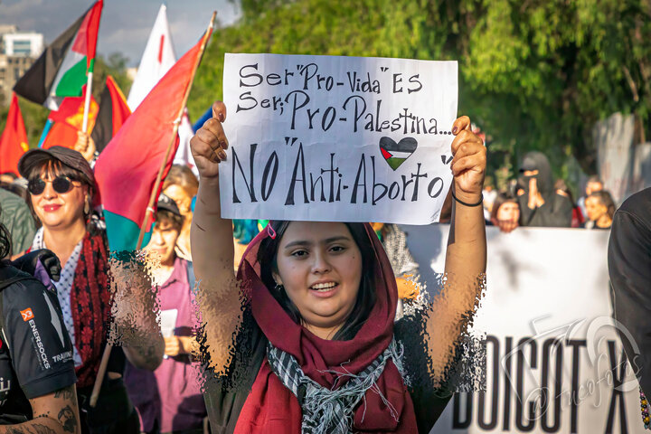 智利：世界巴勒斯坦团结日警察袭击抗议者