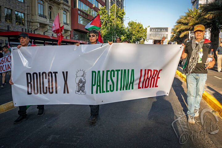 智利：世界巴勒斯坦团结日警察袭击抗议者