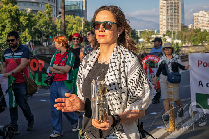 智利：世界巴勒斯坦团结日警察袭击抗议者