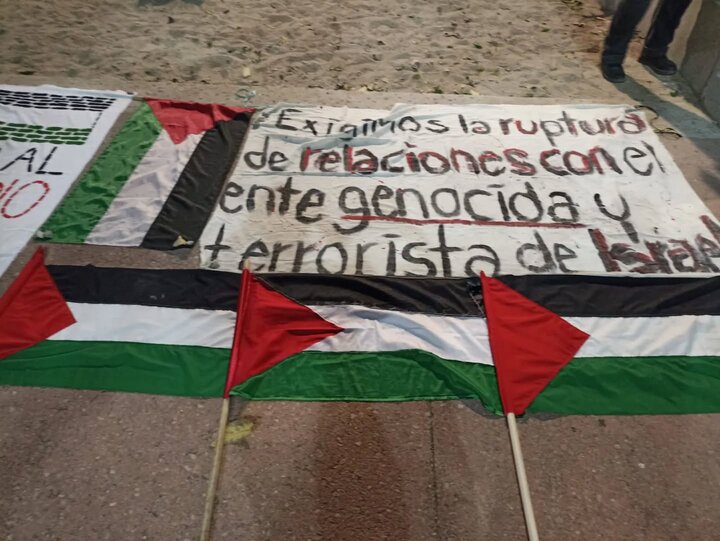 世界巴勒斯坦团结日；批评墨西哥政府；抗议者谴责与以色列的关系