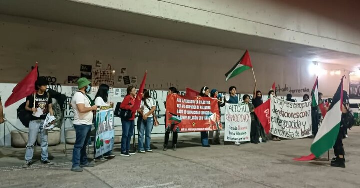 世界巴勒斯坦团结日；批评墨西哥政府；抗议者谴责与以色列的关系