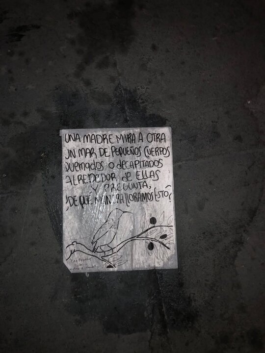 世界巴勒斯坦团结日；批评墨西哥政府；抗议者谴责与以色列的关系