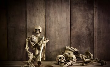 زرق و برق دنیا عامل فراموشی «مرگ»