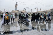 Informe fotográfico | Peregrinaje de peregrinos con discapacidades al Santuario Sagrado del Imam Reza (la paz sea con él)