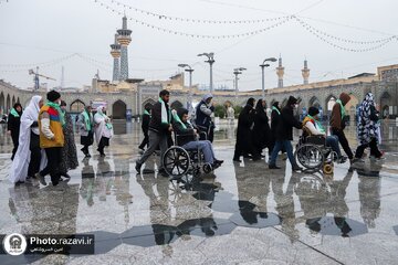 Informe fotográfico | Peregrinaje de peregrinos con discapacidades al Santuario Sagrado del Imam Reza (la paz sea con él)