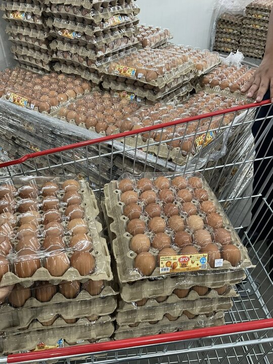 ထိုင်းနိုင်ငံ တွင်ရေဘေး ဒုက္ခသည်များ အား ဂျာမေအသိုလ်မွတ်စ်သဖွာ (ဆွ) အလ်အာလေမီယဟ် မှ တတ်နိုင်သလောက် အကူအညီပေး    ။ ။ Photos