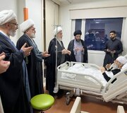 الشيخ حسن الجواهري يعود السيد مرتضى القزويني للاطمئنان على صحّته