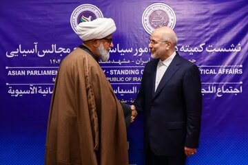 تصویری رپورٹ|  مجلس وحدت مسلمین کے سربراہ علامہ راجہ ناصر عباس جعفری نے مشہد میں (اے پی اے) کے اجلاس میں شرکت کی۔