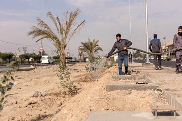 تقرير مصور/ حملة لتشجير طريق (يا حسين) بين النجف وكربلاء