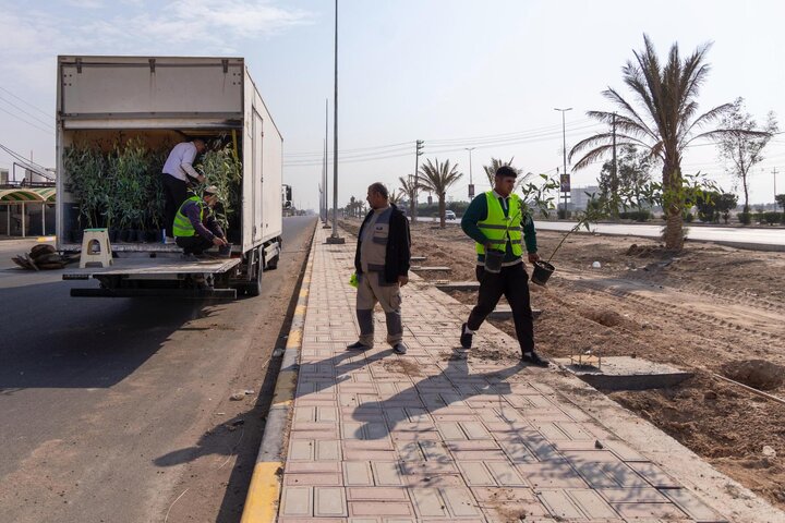 تقرير مصور/ حملة لتشجير طريق (يا حسين) بين النجف وكربلاء