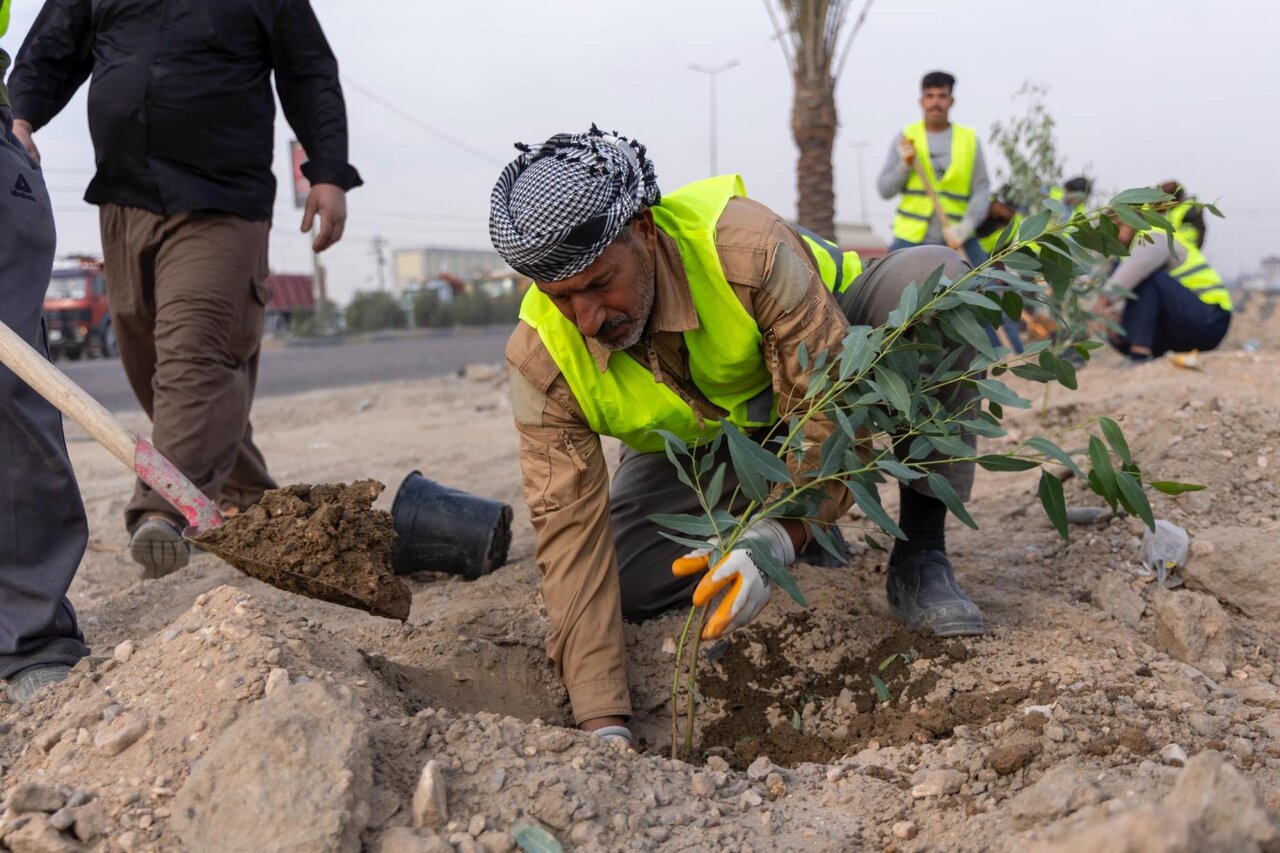Al-Abbas Shrine continues its campaign to plant trees along 'Ya Hussain' road between Najaf and Karbala
