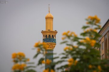 عکس خبری | آذین‌بندی حرم نورانی علوی به مناسبت میلاد بانوی دو عالم