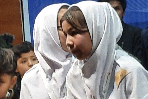 مسئول شیعه افغانستان: اگر از نخبگان حمایت نشوند، کشور را ترک خواهند کرد