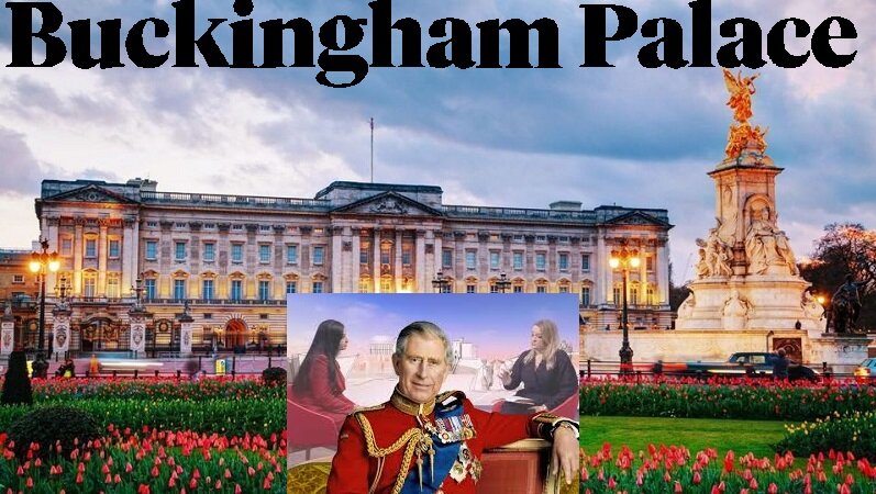 ویڈیو | بی بی سی ٹی وی پر بکنگھم پیلس پر براہ راست حملہ