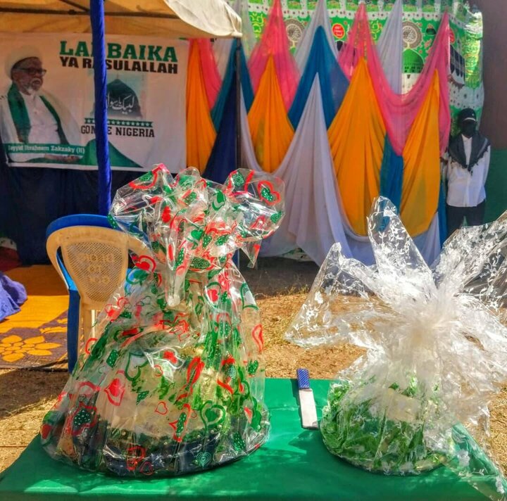 تقرير مصور/ مؤسسة الإغاثة الزهراء (ع) تفتتح صندوق تبرعات جديد في ولاية غومبي بنيجيريا