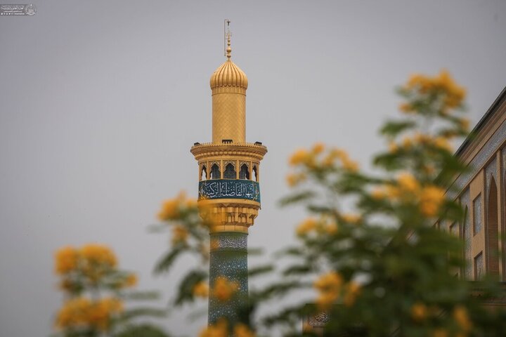 Informe fotográfico | El Santuario de Amir al-Mu'minin, Imam Ali (PB), se engalana de verde para celebrar el nacimiento de la Excelencia Fátima al-Zahra (PB)