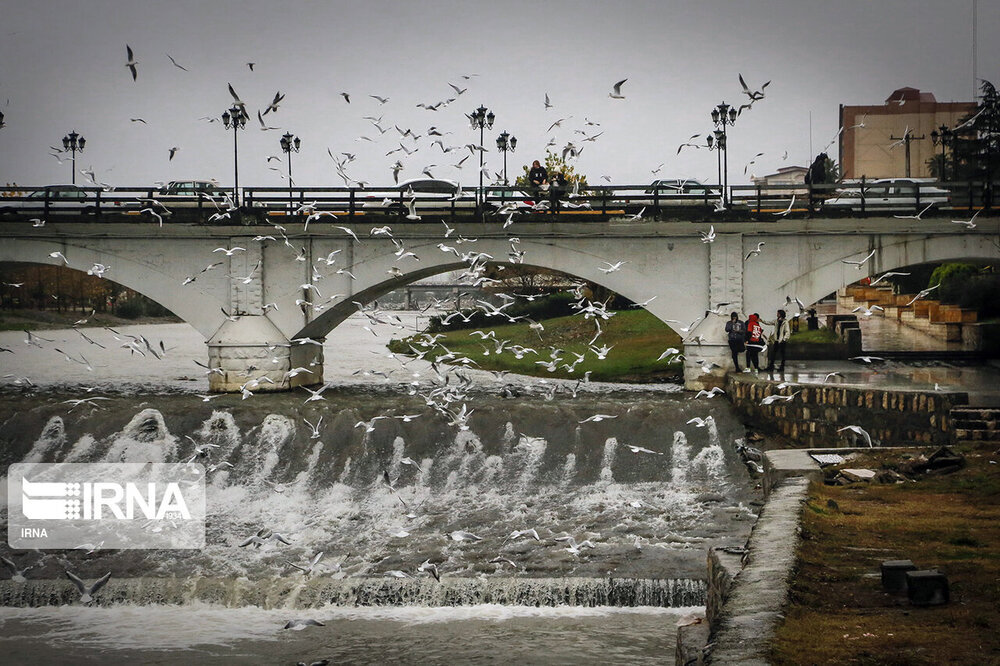 Чешмә-Килә Тонекабун, Каспи гағајылары үчүн ҹәннәтдир