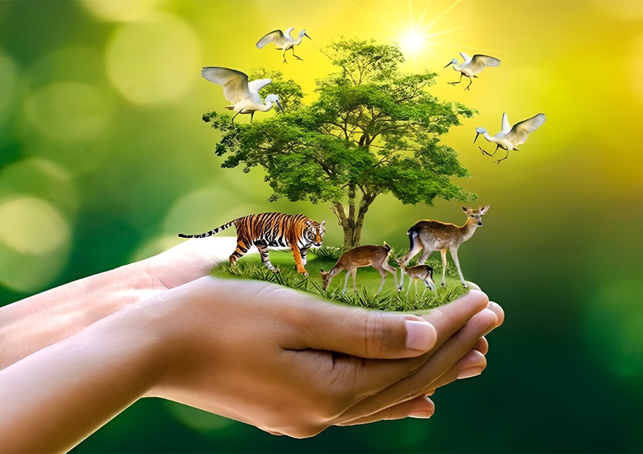 Perlindungan Lingkungan Hidup dan Hewan dalam Pandangan Islam