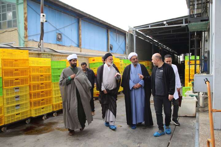 طرح بزرگ اشتغال‌زایی در حوزه فرآوری گوشت؛ ۶۰۰ نفر مشغول کار می‌شوند