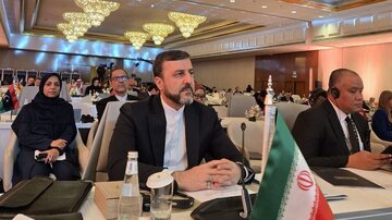 Iran Urges UN Action Against Israeli Aggression at UNAOC Forum