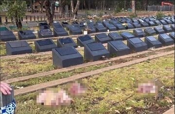 ဆစ်ဒနီမြို့ အနောက်တောင်ဘက်ရှိ အစ္စလာမ်သင်္ချိုင်း အား စော်ကား