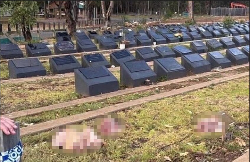 ဆစ်ဒနီမြို့ အနောက်တောင်ဘက်ရှိ အစ္စလာမ်သင်္ချိုင်း အား စော်ကား