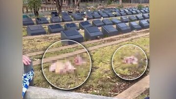Muslim cemetery desecrated with pig heads after terrorist attack in Sydney