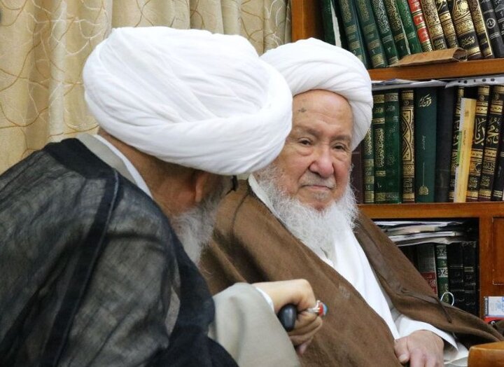 آیت‌الله فیاض: دامن‌زدن به اختلافات حزبی و منطقه‌ای آفت بزرگ جامعه است