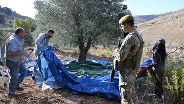 حملات اسرائیل معیشت کشاورزان و دامداران جنوب لبنان را تهدید می‌کند