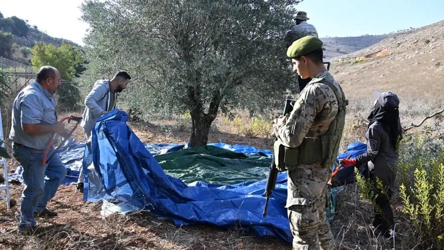 حملات اسرائیل معیشت کشاورزان و دامداران جنوب لبنان را تهدید می‌کند