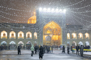 Photos: Autumn Snowfall at Imam Reza Holy Shrine
