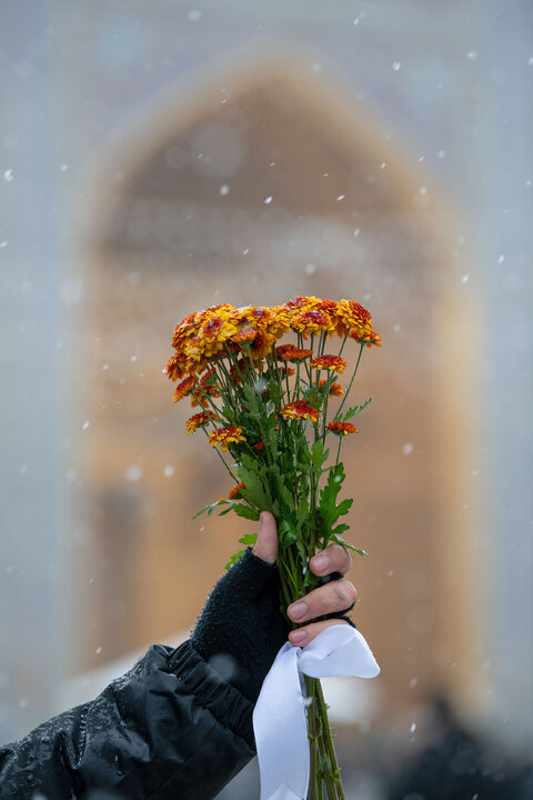 Photos: Autumn Snowfall at Imam Reza Holy Shrine