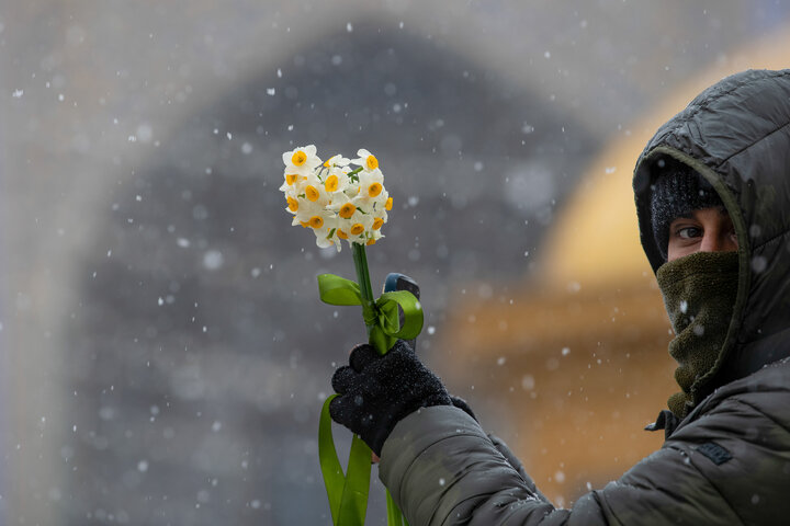 Photos: Autumn Snowfall at Imam Reza Holy Shrine