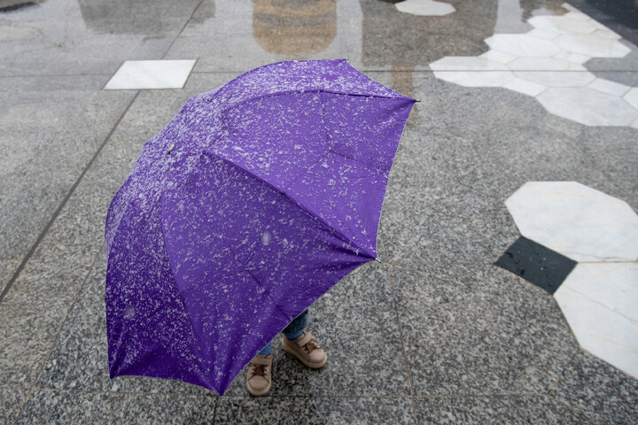 Photos: Autumn Snowfall at Imam Reza Holy Shrine