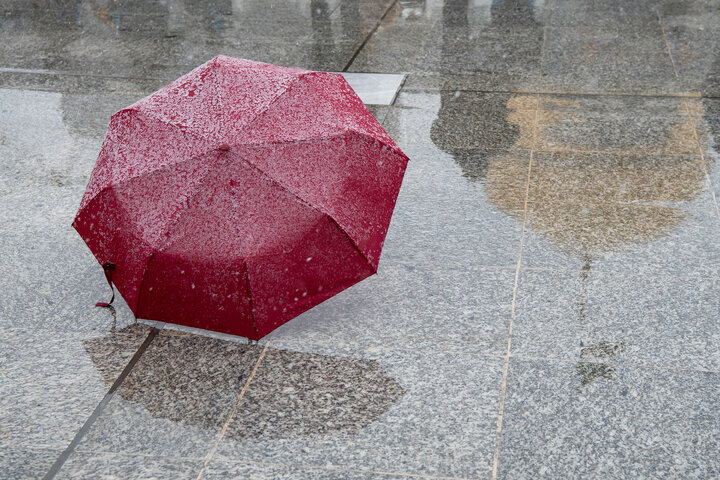 Photos: Autumn Snowfall at Imam Reza Holy Shrine