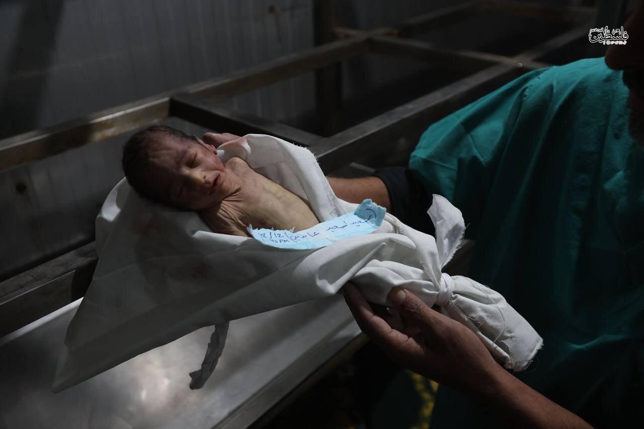 MSF Warns of Child Deaths in Gaza Due to Cold, Aid Blockade